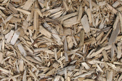 biomass boilers 